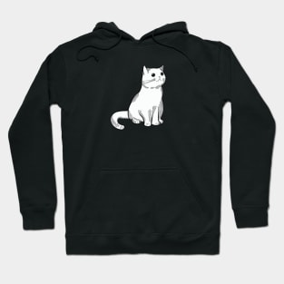 Monochromatic kitty Hoodie